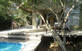 Bushwillow Collection